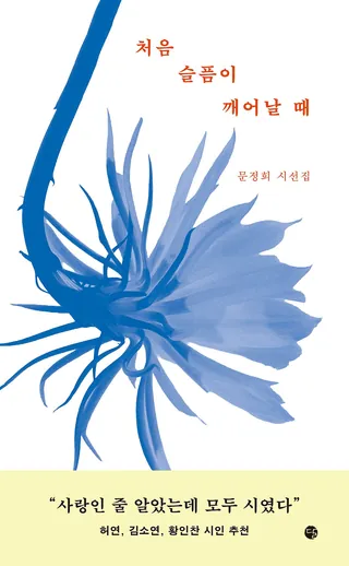 『처음 슬픔이 깨어날 때』 문정희 표지