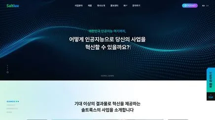 솔트룩스 - UX/UI Review