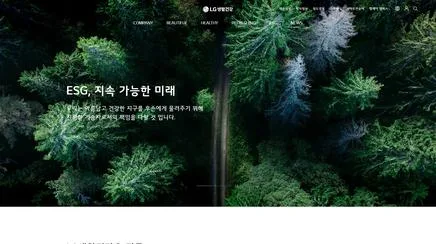LG생활건강 - UX/UI 리뷰 | The Blue Canvas