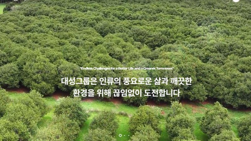 대성그룹 Daesung Group 에너지기업