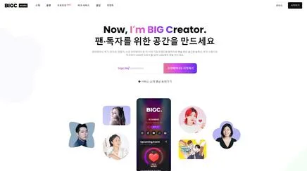 빅크 - UX/UI Review | The Blue Canvas