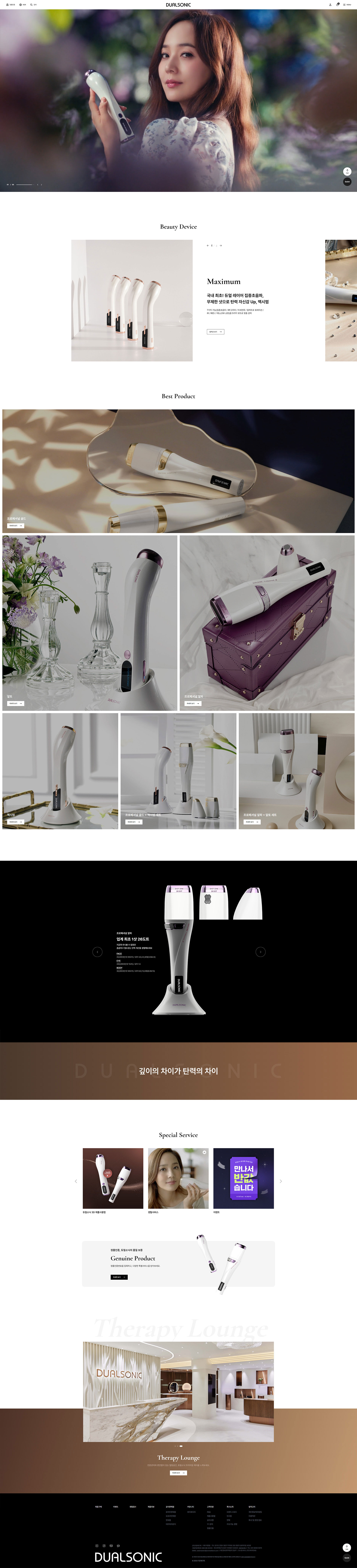 듀얼소닉 웹사이트 대표 이미지