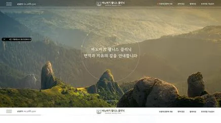 바노바기웰니스클리닉 - UX/UI Review