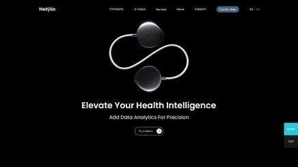 웰리시스 - UX/UI Review | The Blue Canvas