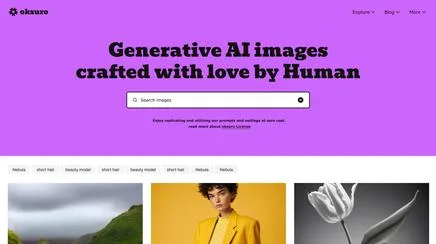 Oksuro - UX/UI Review | The Blue Canvas