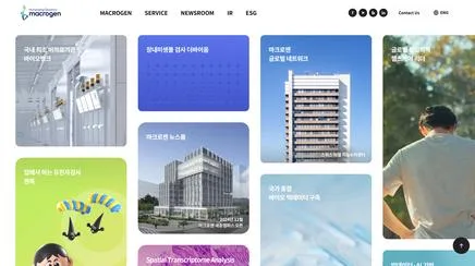 마크로젠 - UX/UI 리뷰 | The Blue Canvas