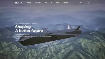 LIG Nex1 - UX/UI 리뷰 | The Blue Canvas