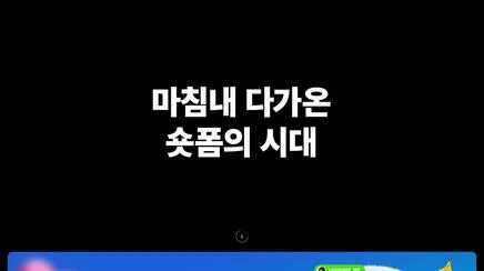 숏뜨 - UX/UI Review