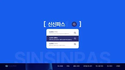 신신파스 - UX/UI 리뷰 | The Blue Canvas