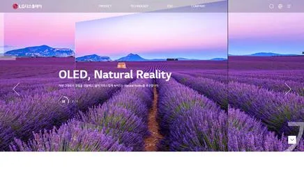 LG Display - UX/UI Review