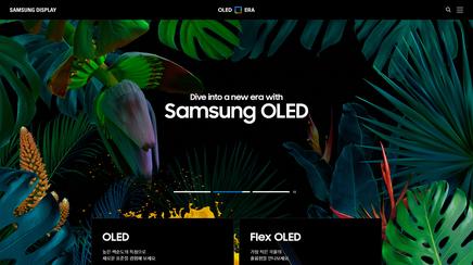 삼성 OLED ERA