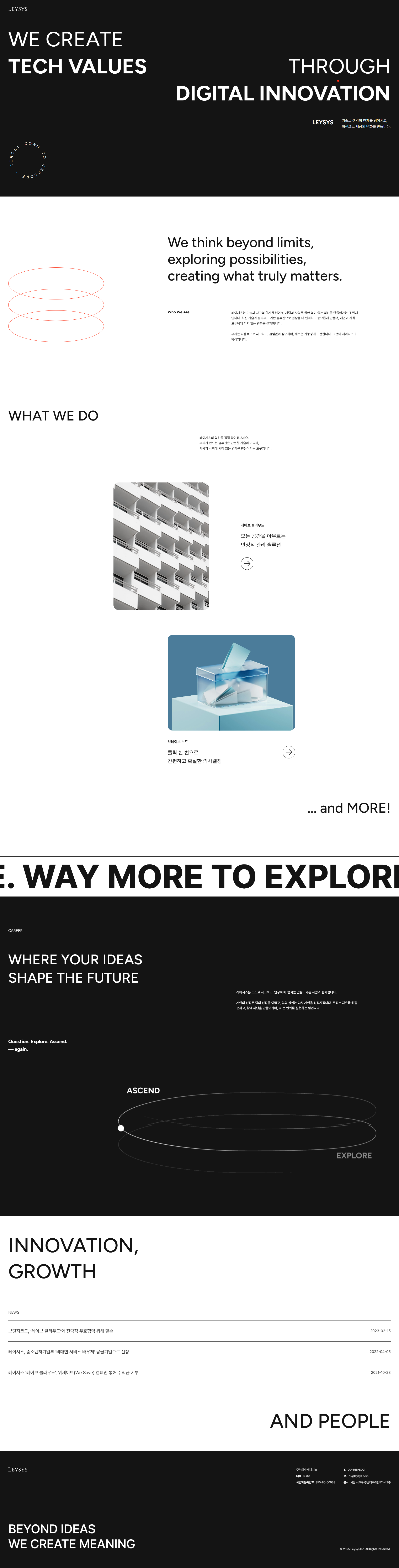 레이시스 웹사이트 메인 스크린샷