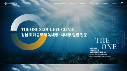 더원서울안과 - UX/UI Review
