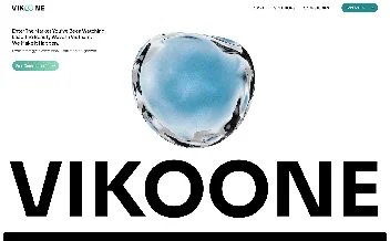 VIKOONE - UX/UI 리뷰 | The Blue Canvas