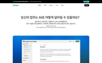 솔트룩스 리뷰 표지