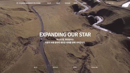 hyundai sungwoo holdings