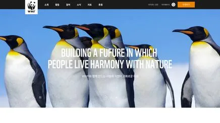 WWF(세계자연기금) - UX/UI Review