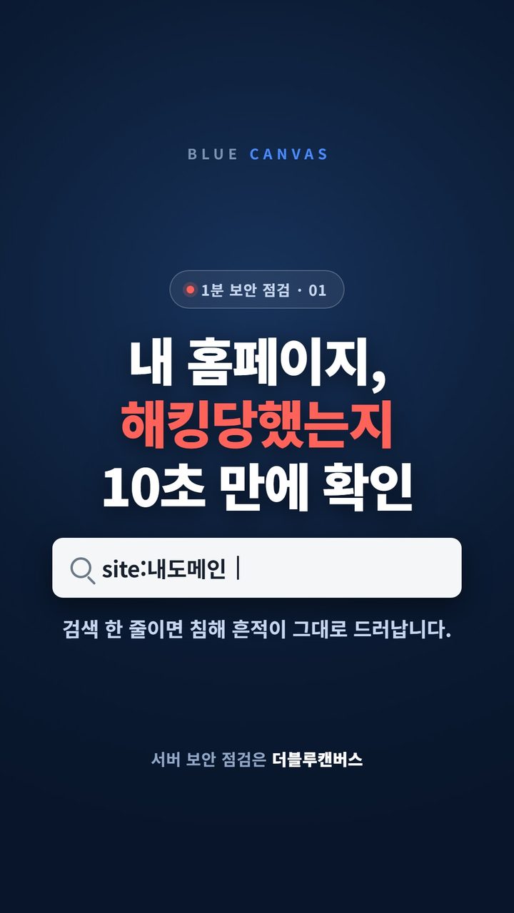 홈페이지가 해킹됐는지 10초 만에 확인하는 방법: site: 검색 한 줄 숏폼 영상 표지