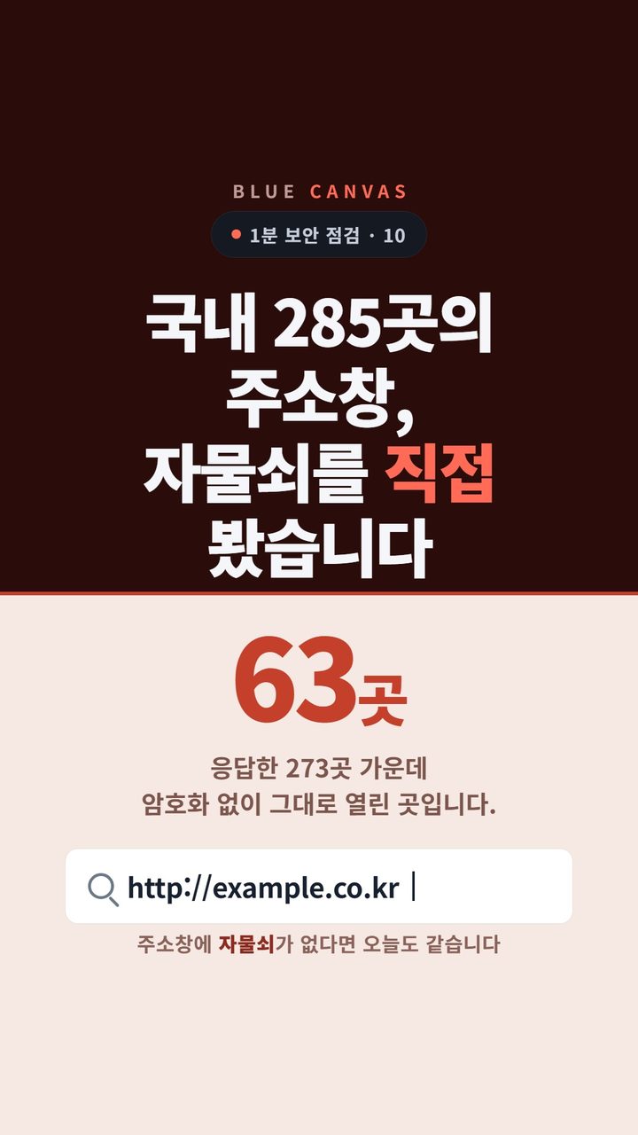 국내 홈페이지 285곳의 자물쇠를 직접 봤습니다 숏폼 영상 표지